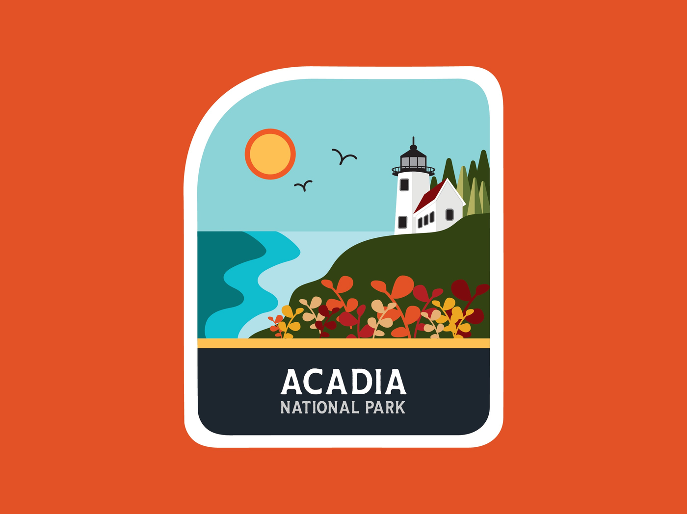 Acadia National Park Collection